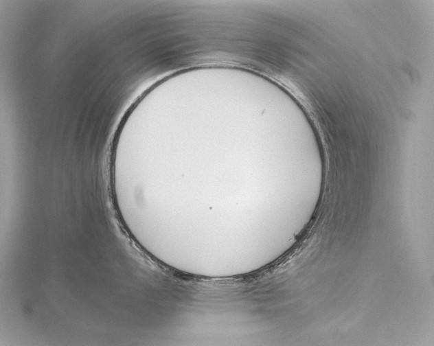 X0000115741008200912031423