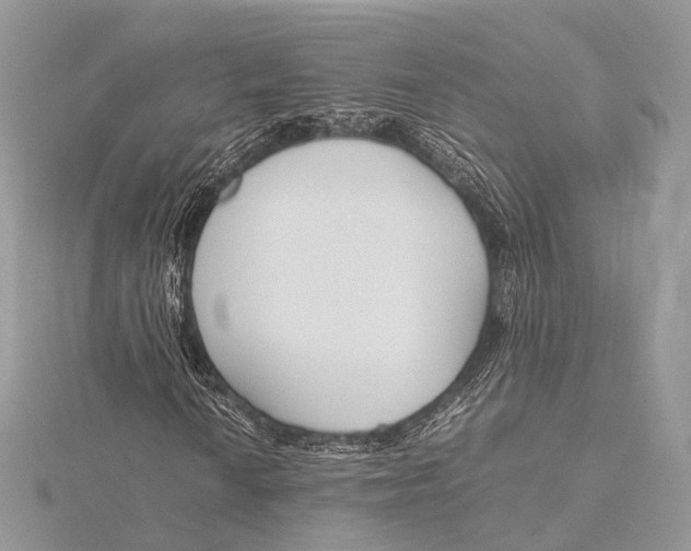 X0000115741010200912031423