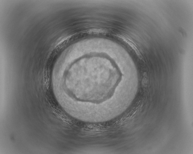 X0000115741015200912031423