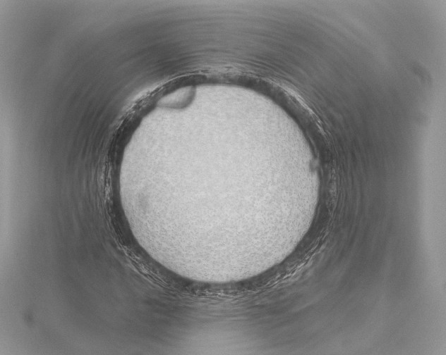 X0000115741016200912031423