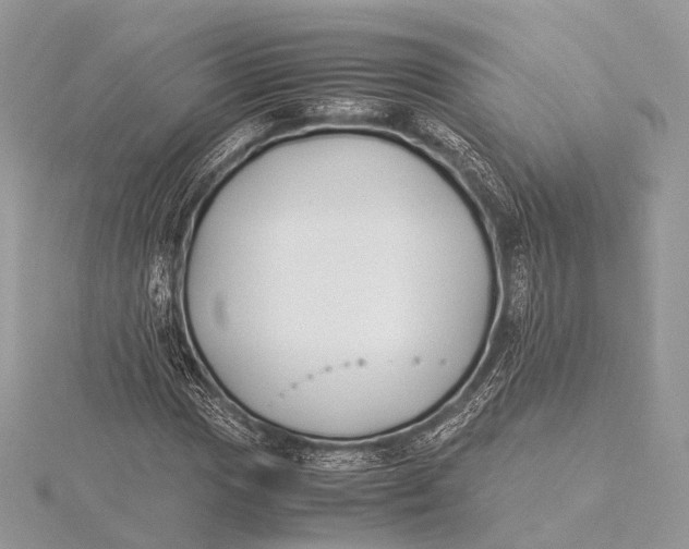 X0000115741017200912031423