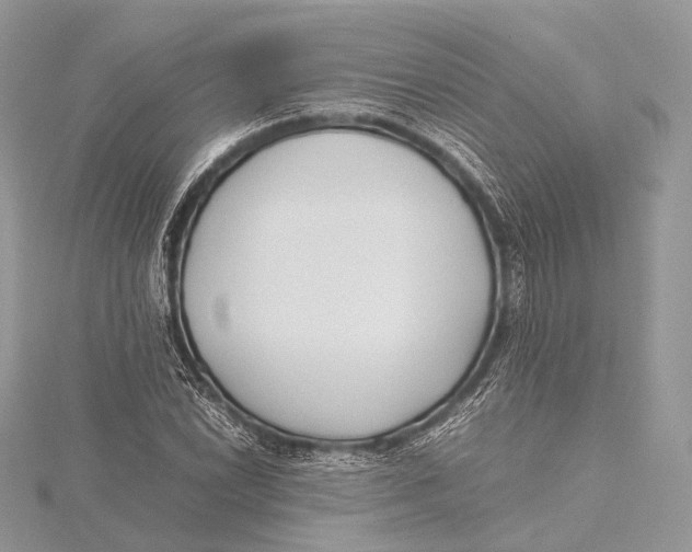 X0000115741022200912031423