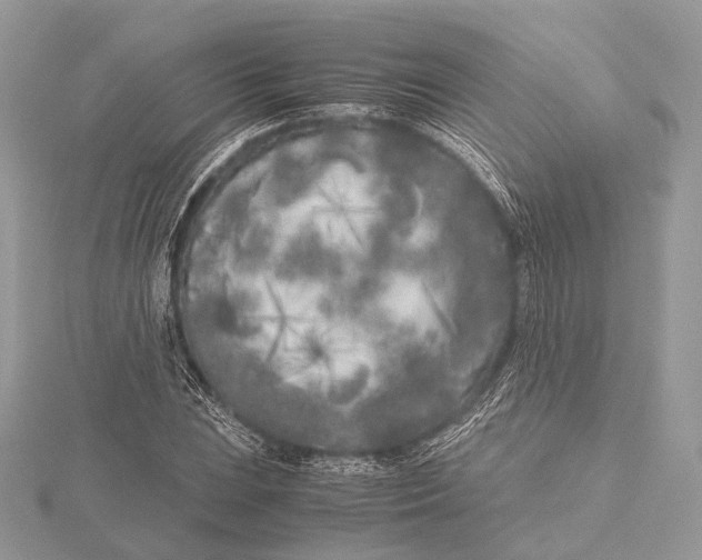 X0000115741023200912031423