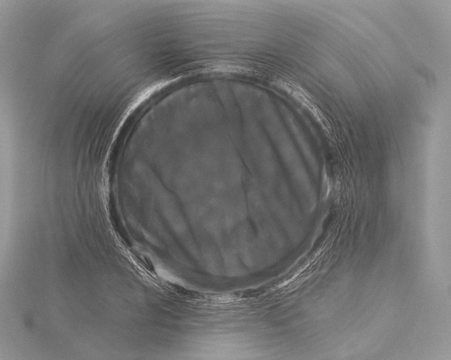 X0000115741024200912031423