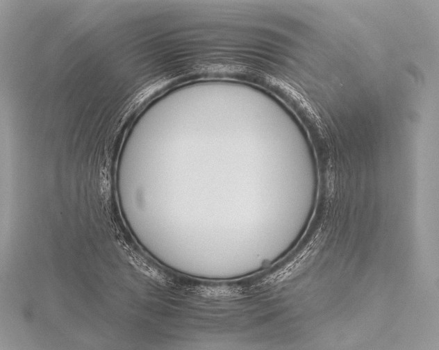 X0000115741025200912031423