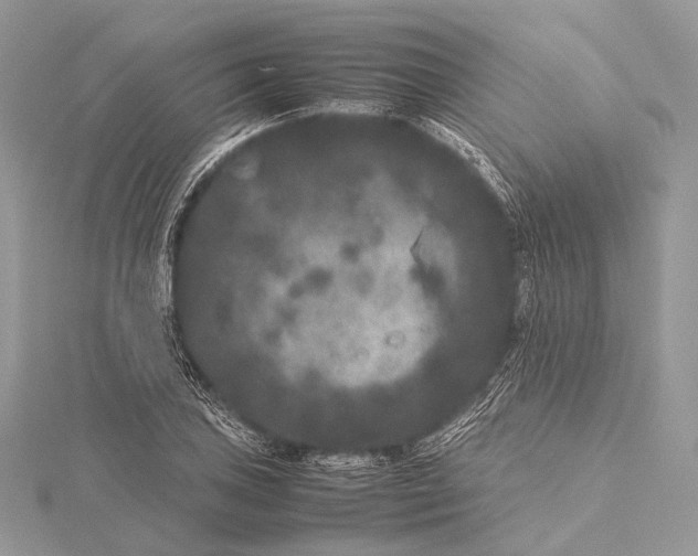 X0000115741027200912031423