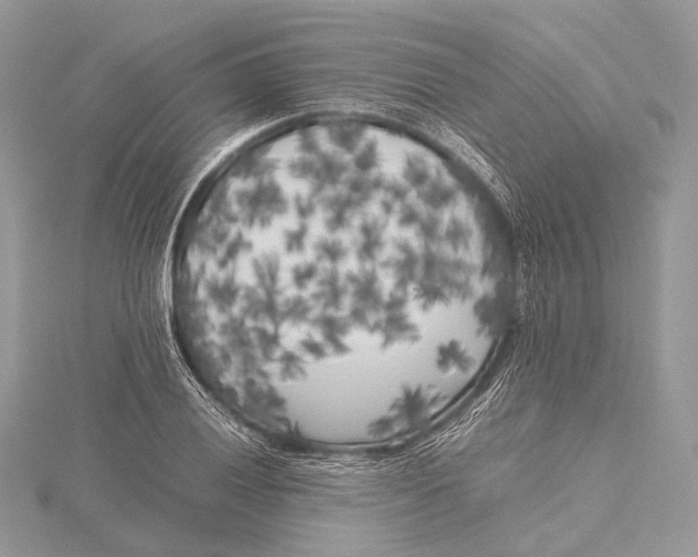 X0000115741028200912031423