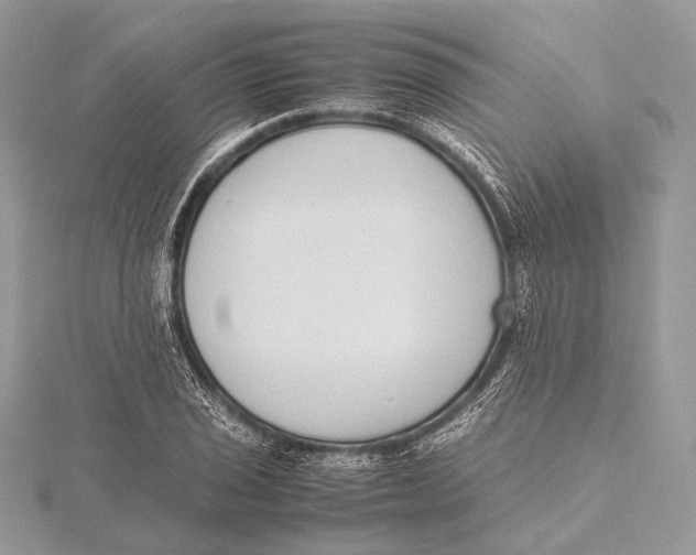 X0000115741029200912031423