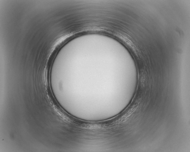 X0000115741030200912031423