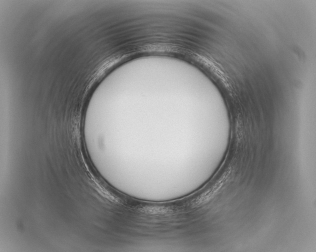 X0000115741033200912031423