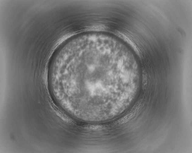 X0000115741035200912031423