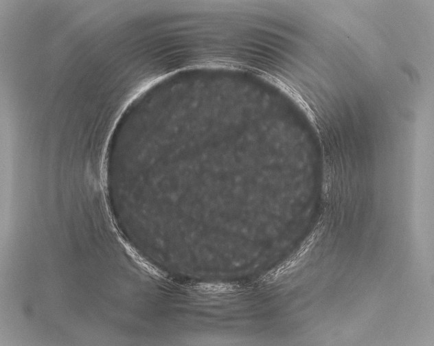 X0000115741037200912031423