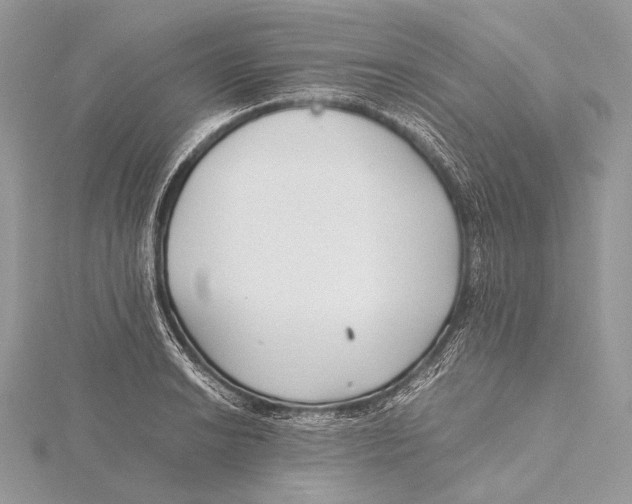 X0000115741038200912031423