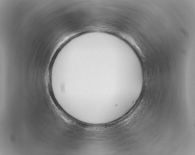 X0000115741040200912031423