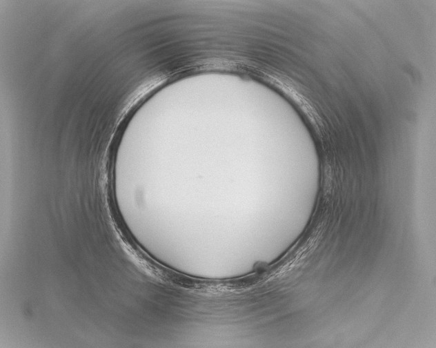 X0000115741042200912031423