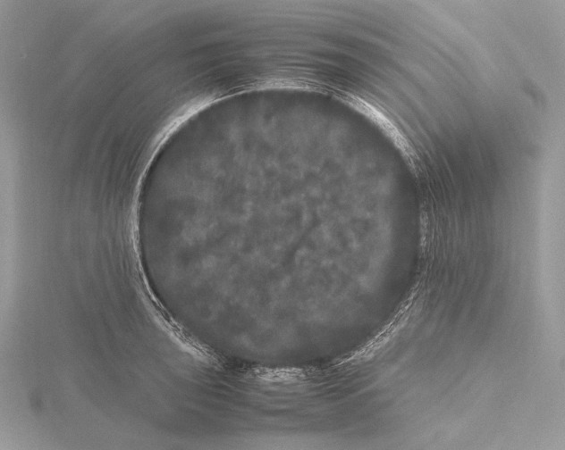 X0000115741043200912031423