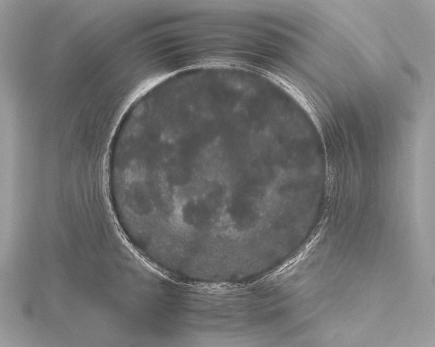 X0000115741045200912031423