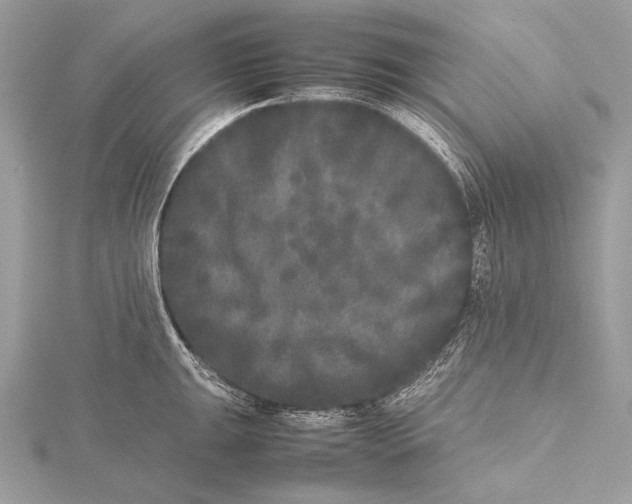 X0000115741047200912031423