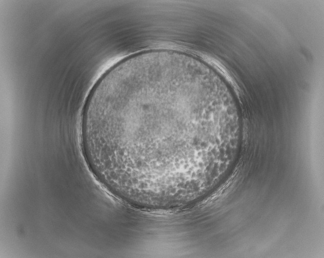 X0000115741048200912031423