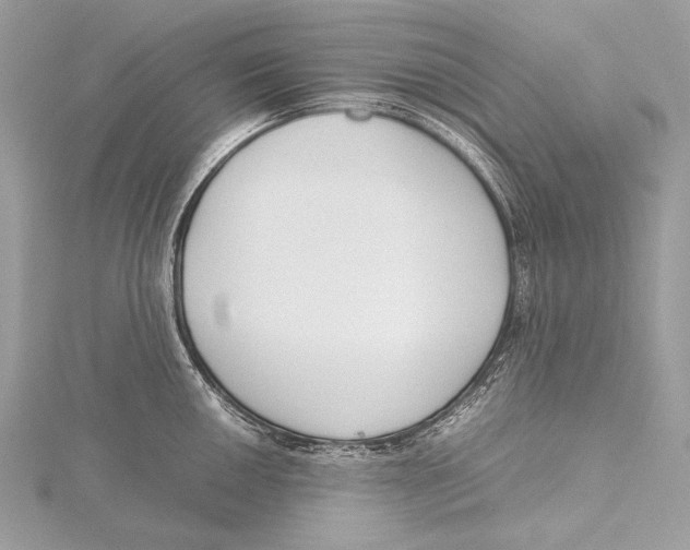 X0000115741050200912031423