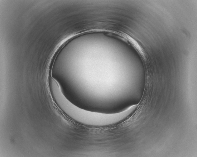 X0000115741051200912031423