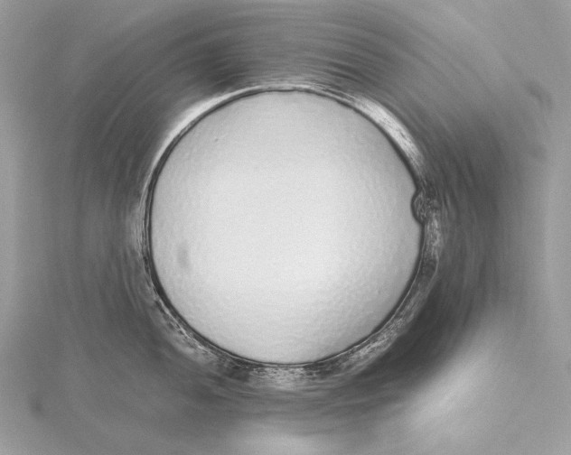 X0000115741052200912031423