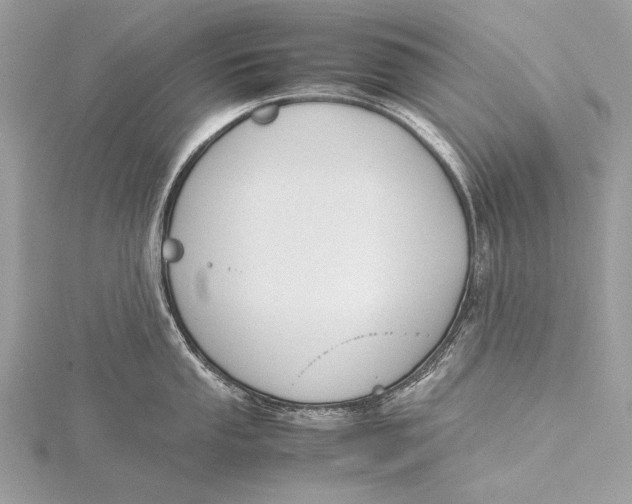 X0000115741053200912031423