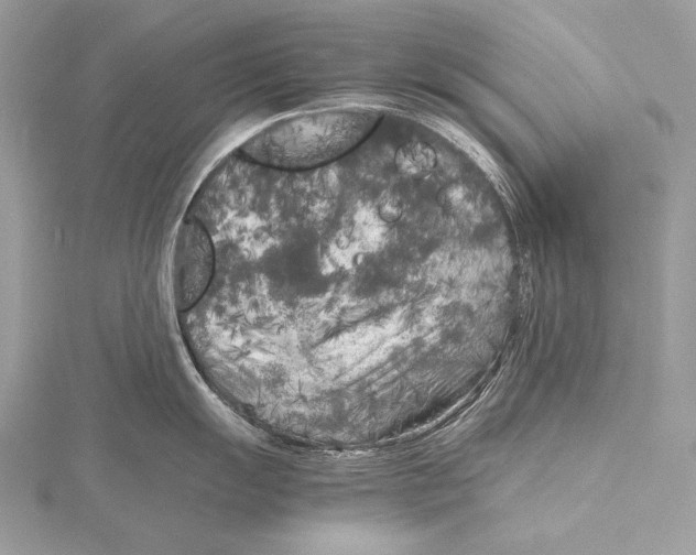 X0000115741055200912031423