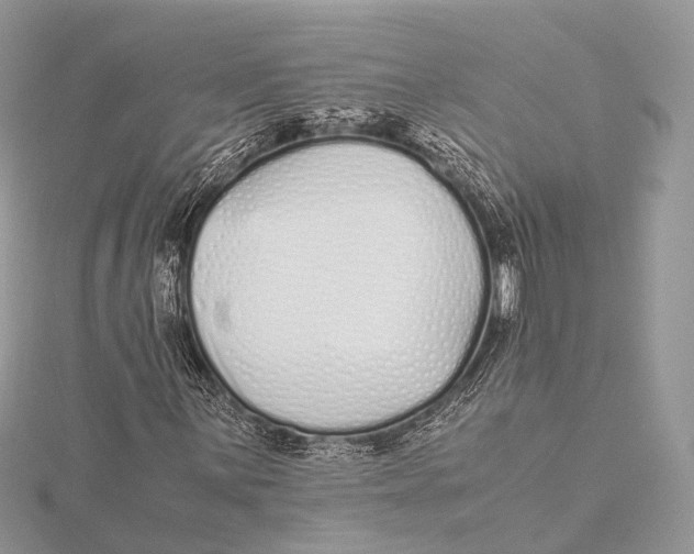 X0000115741059200912031423