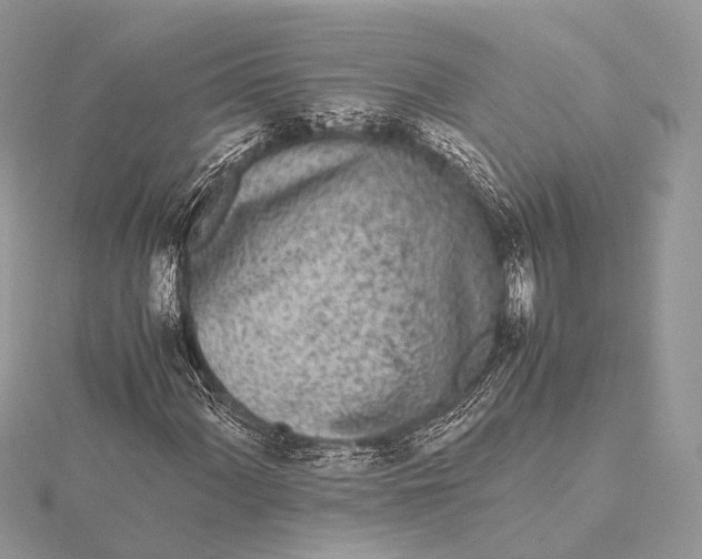 X0000115741060200912031423