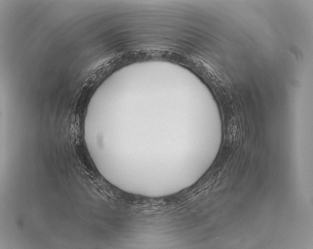 X0000115741062200912031423