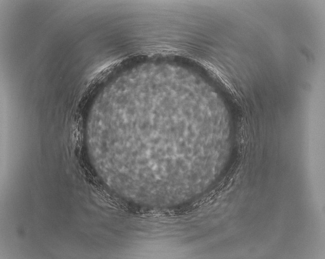 X0000115741063200912031423