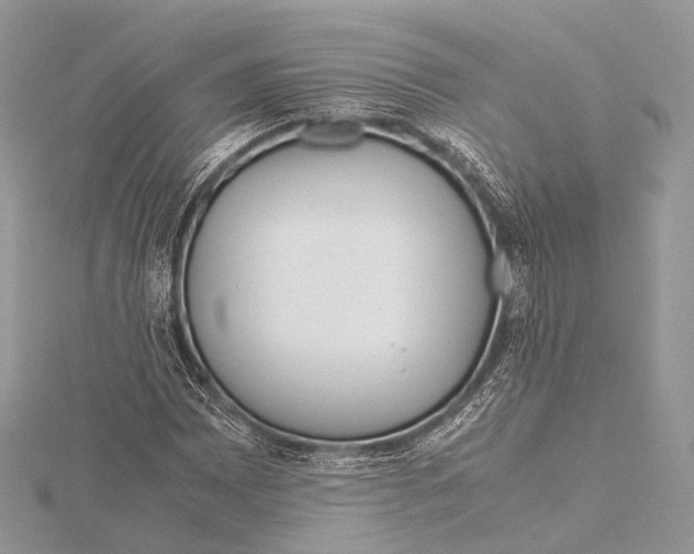 X0000115741065200912031423