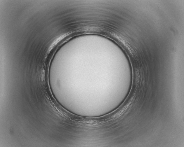 X0000115741066200912031423