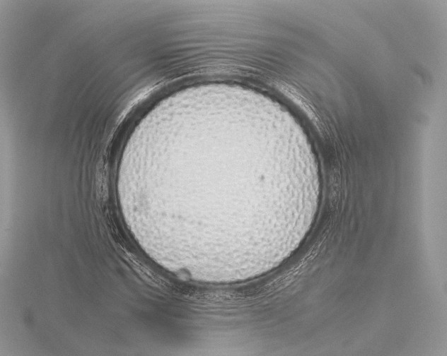 X0000115741067200912031423