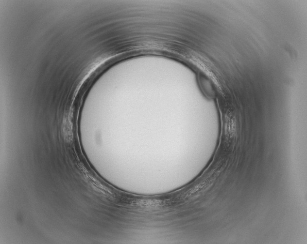 X0000115741068200912031423