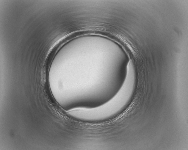 X0000115741069200912031423