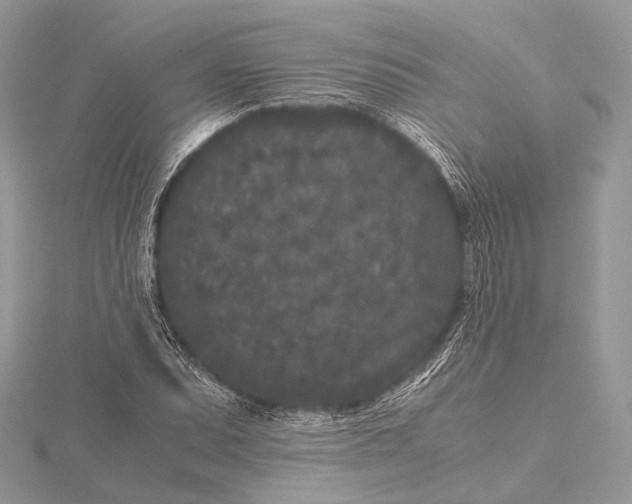 X0000115741071200912031422