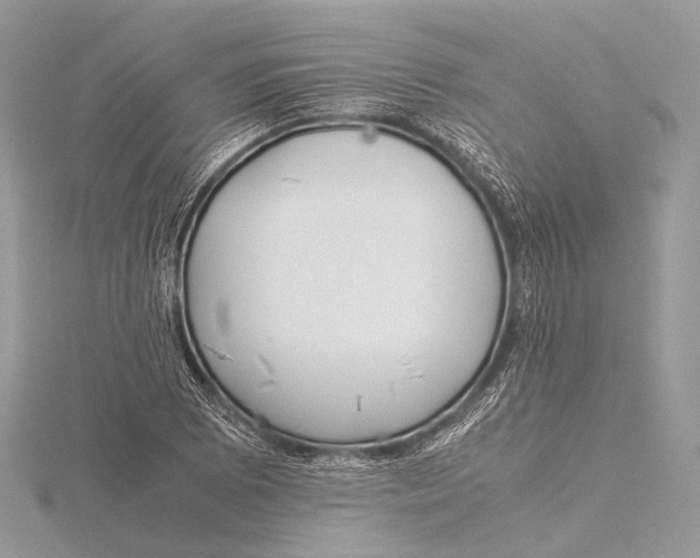 X0000115741073200912031422