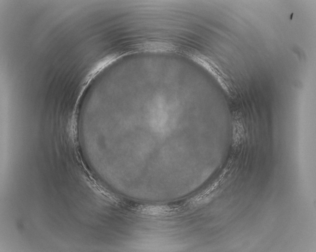 X0000115741074200912031422