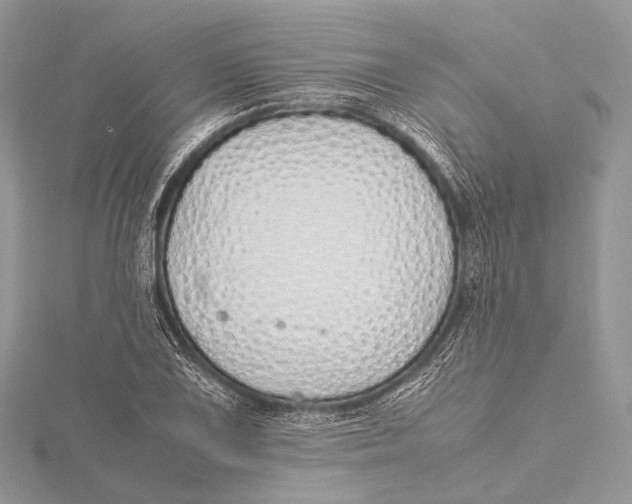 X0000115741075200912031422