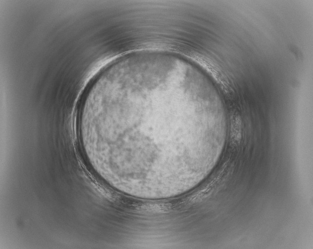 X0000115741078200912031422