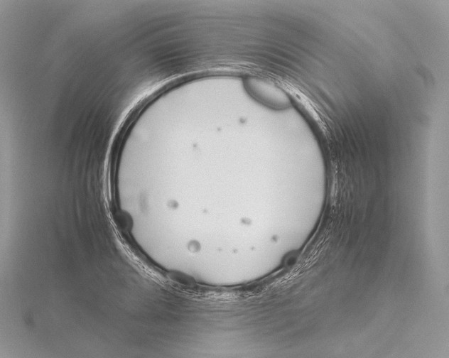 X0000115741080200912031422