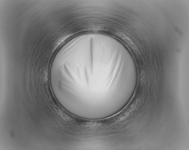 X0000115741081200912031422