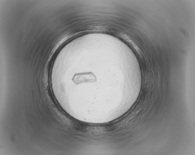 X0000115741083200912031422