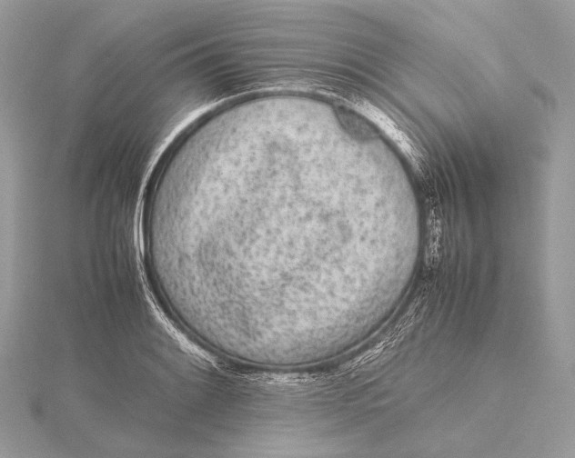 X0000115741084200912031422