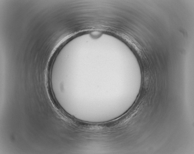 X0000115741085200912031422