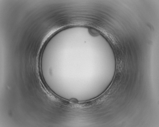 X0000115741086200912031422