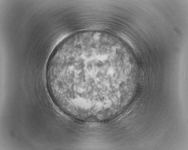 X0000115741087200912031422