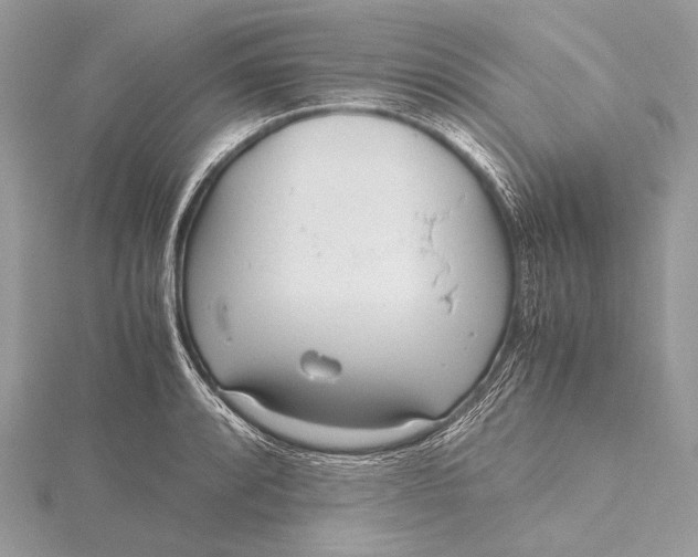 X0000115741088200912031422